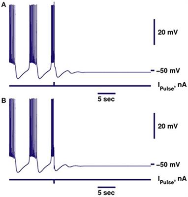 Propensity for Bistability of Bursting and Silence in the <mark class="highlighted">Leech Heart Interneuron</mark>
